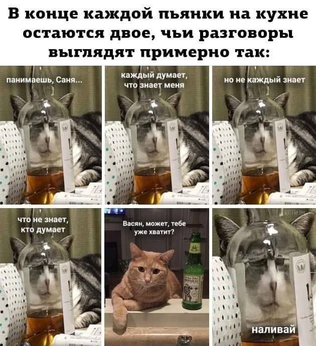 В конце каждой пьянки на кухне остаются двое, чьи разговоры выглядят примерно так: понимаешь, Саня... каждый думает, что знает меня но не каждый знает что не знает, кто думает Васян, может, тебе уже хватит? наливай