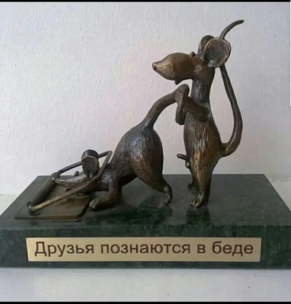 Друзья познаются в беде