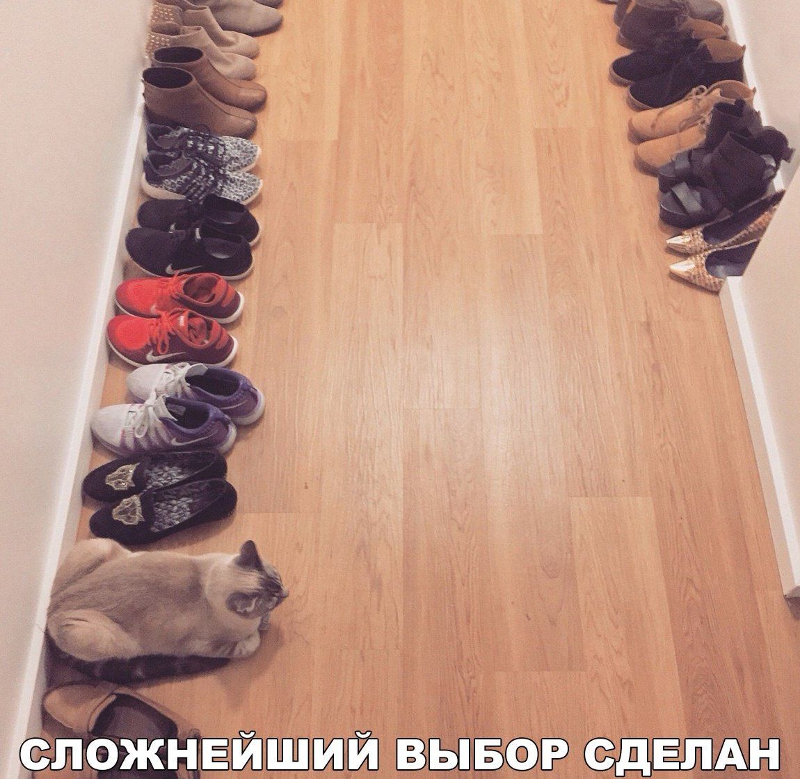 СЛОЖНЕЙШИЙ ВЫБОР СДЕЛАН