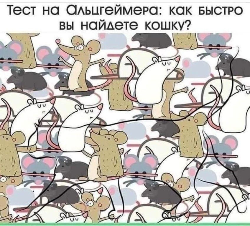 Тест на Альцгеймера: как быстро вы найдете кошку?