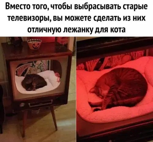 Вместо того, чтобы выбрасывать старые телевизоры, вы можете сделать из них отличную лежанку для кота
