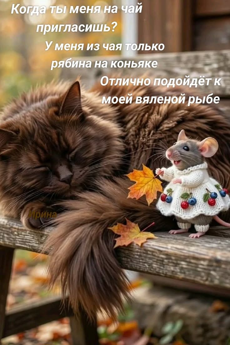 Когда ты меня на чай пригласишь? У меня из чая только рябина на коньяке. Отлично подойдет к моей вяленой рыбе