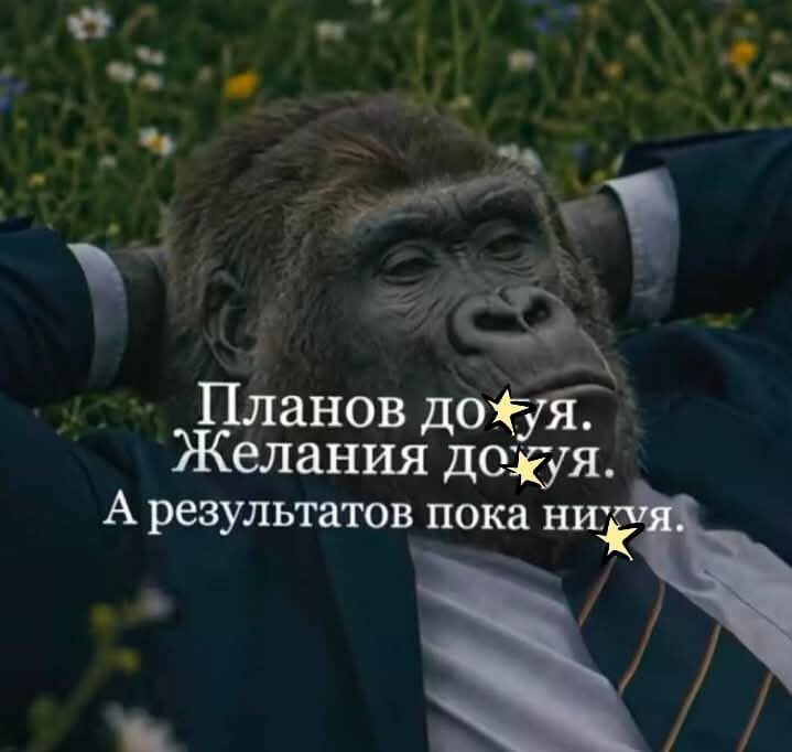 Планов дох*я. Желания дох*я. А результатов пока них*я.