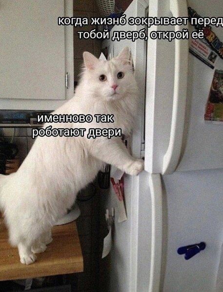 когда жизнь закрывает перед тобой дверь, открой её. именно так работают двери