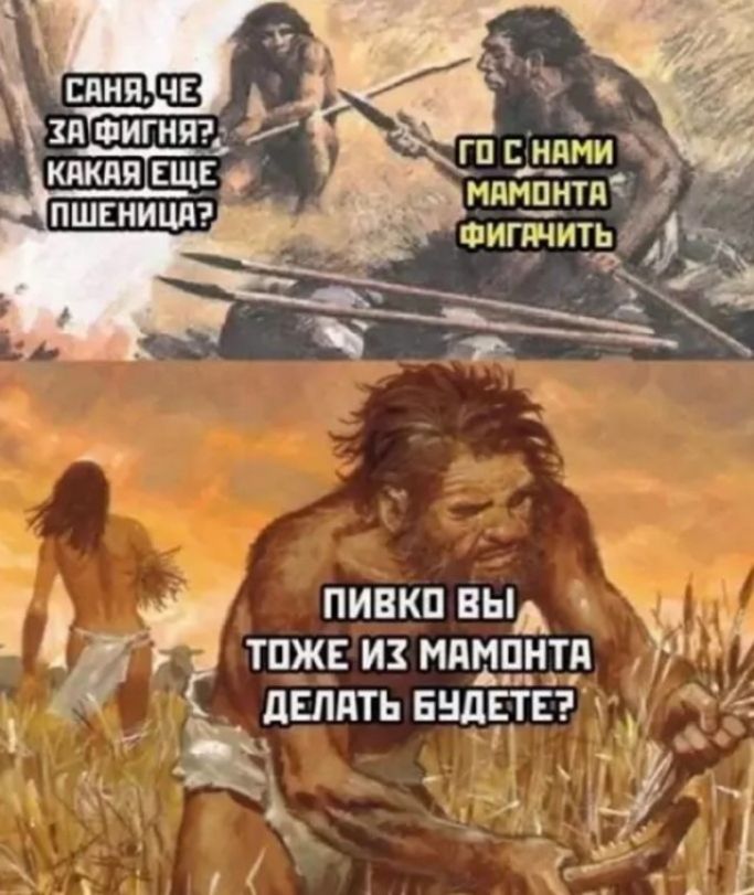 САНЯ, ЧЕ ЗА ФИГНЯ? КАКАЯ ЕЩЕ ПШЕНИЦА? ГО С НАМИ МАМОНТА ФИГАЧИТЬ ПИВКО ВЫ ТОЖЕ ИЗ МАМОНТА ДЕЛАТЬ БУДЕТЕ?
