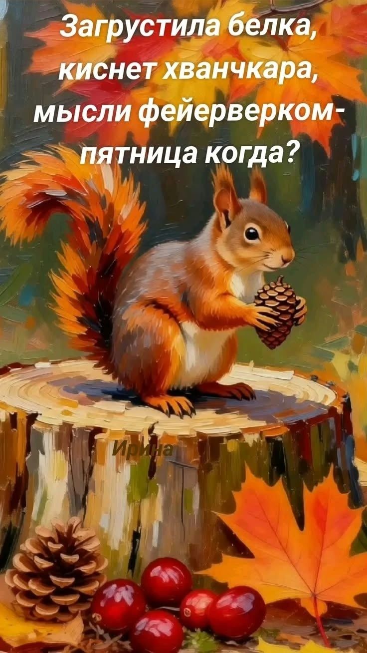 Загрустила белка, киснет хванчкара, мысли фейерверком - пятница когда?