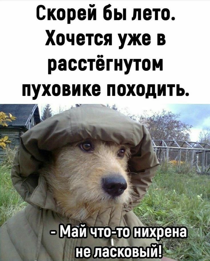 Скорей бы лето. Хочется уже в расстёгнутом пуховике походить. - Май что-то нихрена не ласковый!