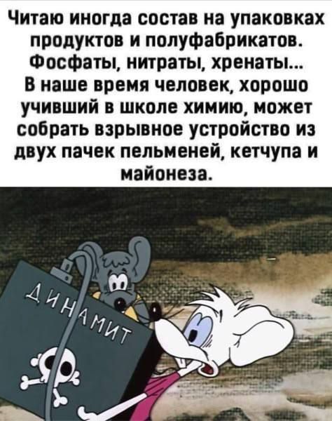 Читаю иногда состав на упаковках продуктов и полуфабрикатов. Фосфаты, нитраты, хренаты... В наше время человек, хорошо учивший в школе химию, может собрать взрывное устройство из двух пачек пельменей, кетчупа и майонеза. ДИНАМИТ