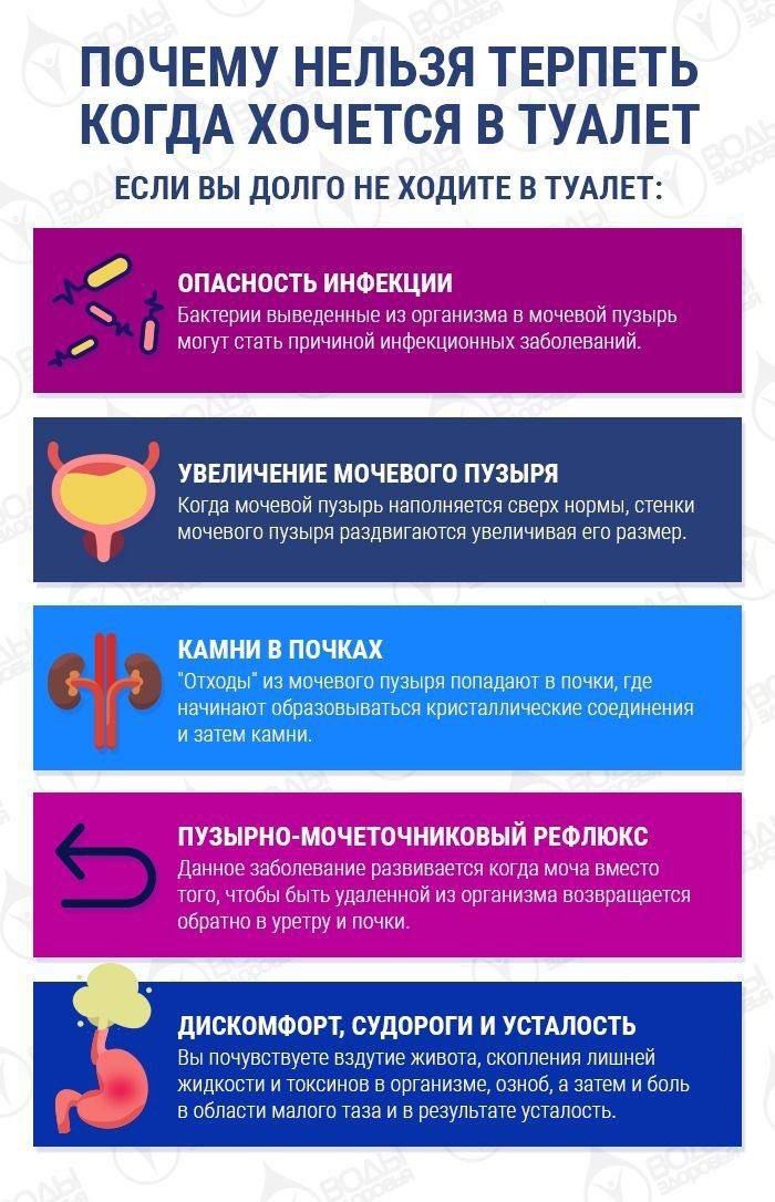 ПОЧЕМУ НЕЛЬЗЯ ТЕРПЕТЬ КОГДА ХОЧЕТСЯ В ТУАЛЕТ ЕСЛИ ВЫ ДОЛГО НЕ ХОДИТЕ В ТУАЛЕТ: ОПАСНОСТЬ ИНФЕКЦИИ Бактерии выведенные из организма в мочевой пузырь могут стать причиной инфекционных заболеваний. УВЕЛИЧЕНИЕ МОЧЕВОГО ПУЗЫРЯ Когда мочевой пузырь наполняется сверх нормы, стенки мочевого пузыря раздвигаются увеличивая его размер. КАМНИ В ПОЧКАХ