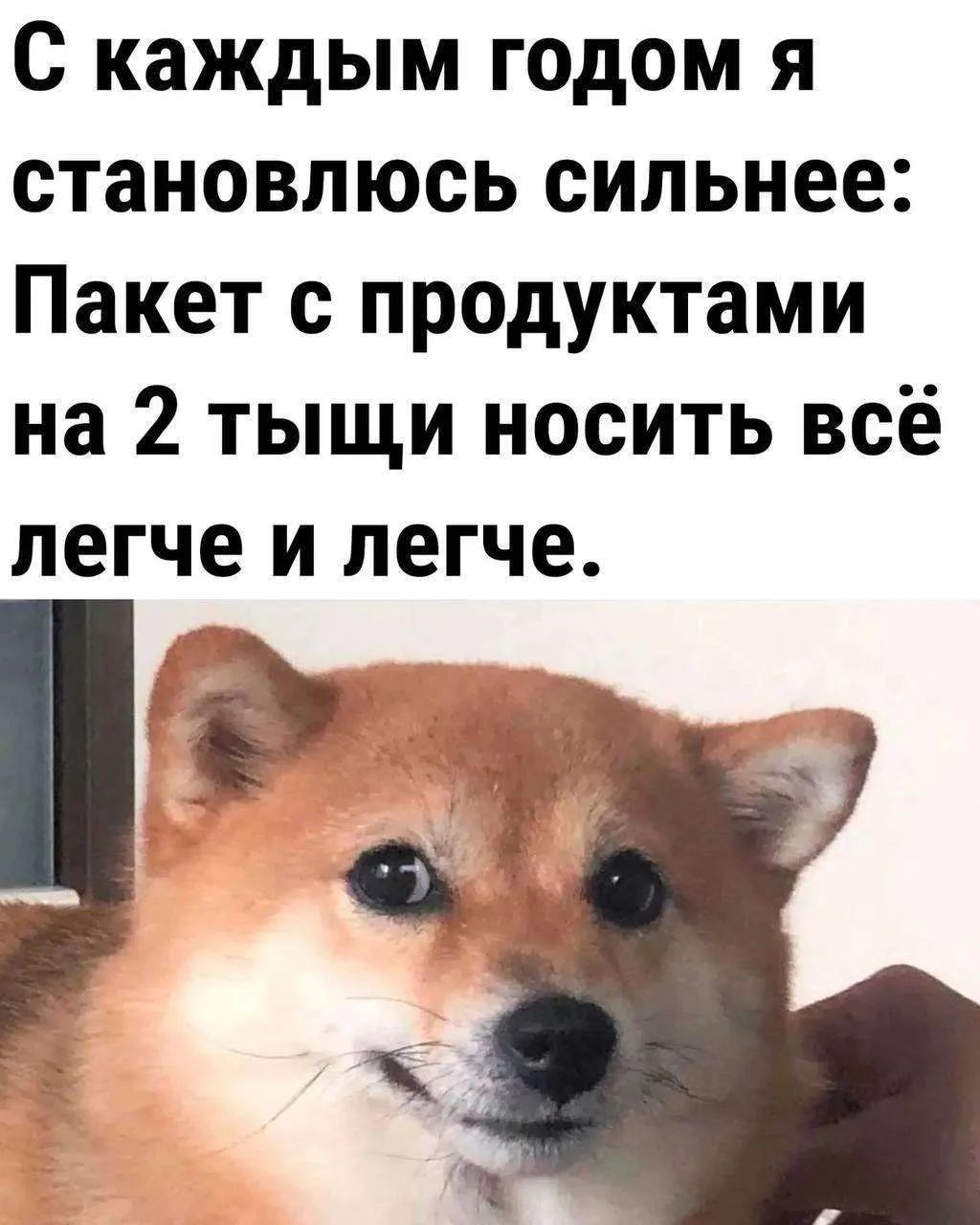 С каждым годом я становлюсь сильнее: Пакет с продуктами на 2 тыщи носить всё легче и легче.