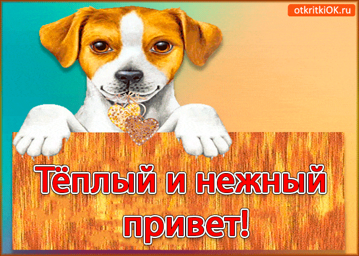 Тёплый и нежный привет!