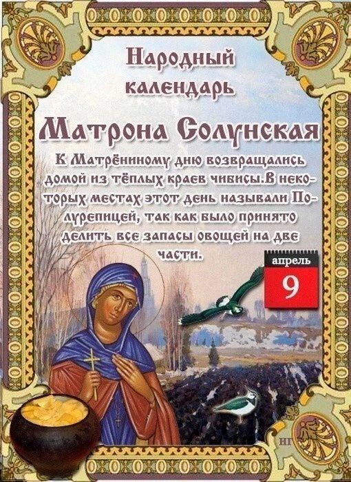Народный календарь Матрона Солунская К Матрённиному дню возвращались домой из тёплых краев чивисы. В некоторых местах этот день называли Полурепницей, так как было принято делить все запасы овощей на две части. апрель 9