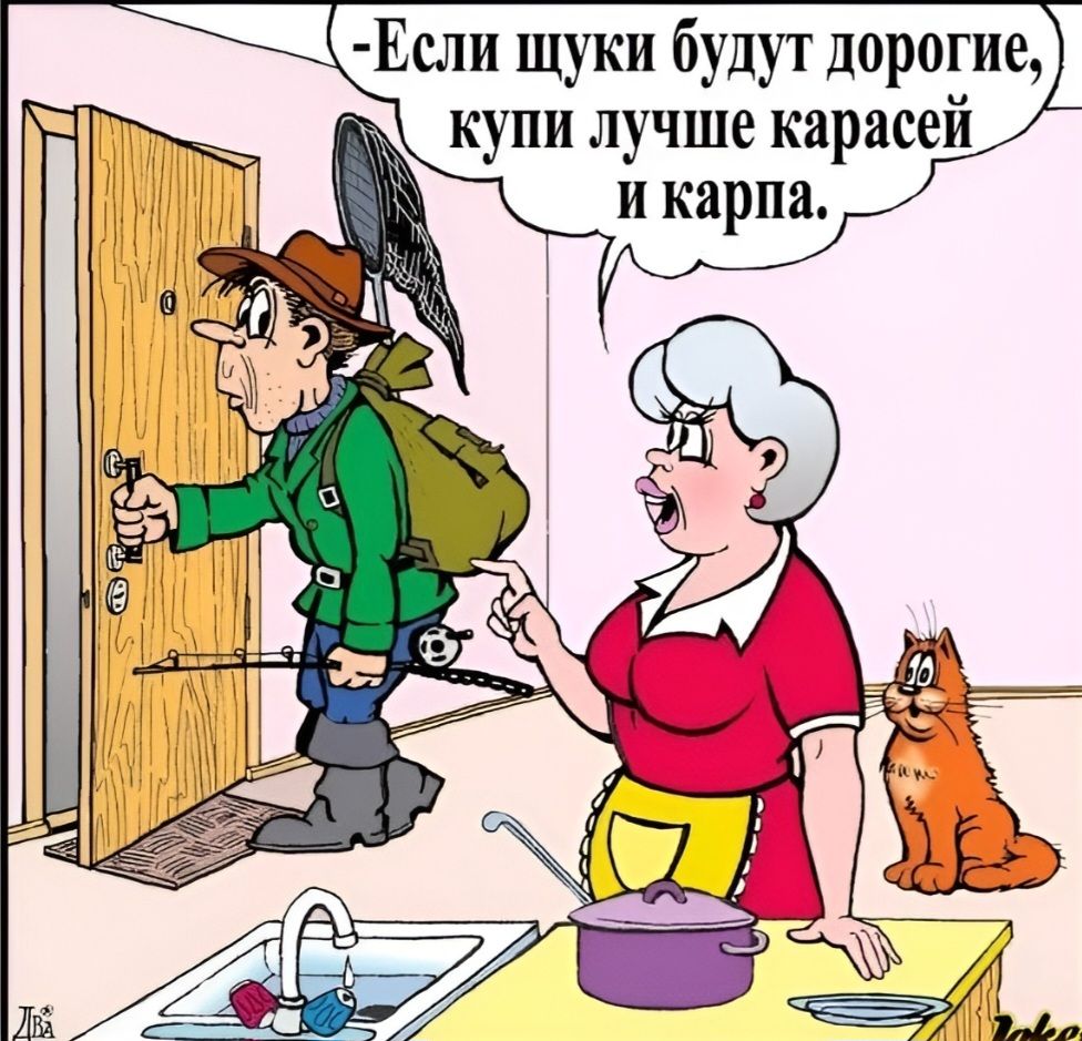 Если щуки будут дорогие, купи лучше карасей и карпа.