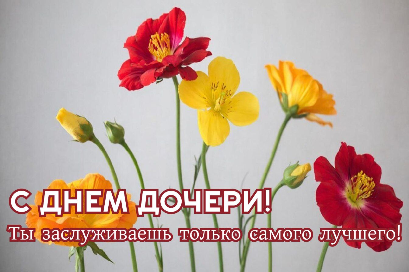 С ДНЕМ ДОЧЕРИ! Ты заслуживаешь только самого лучшего!