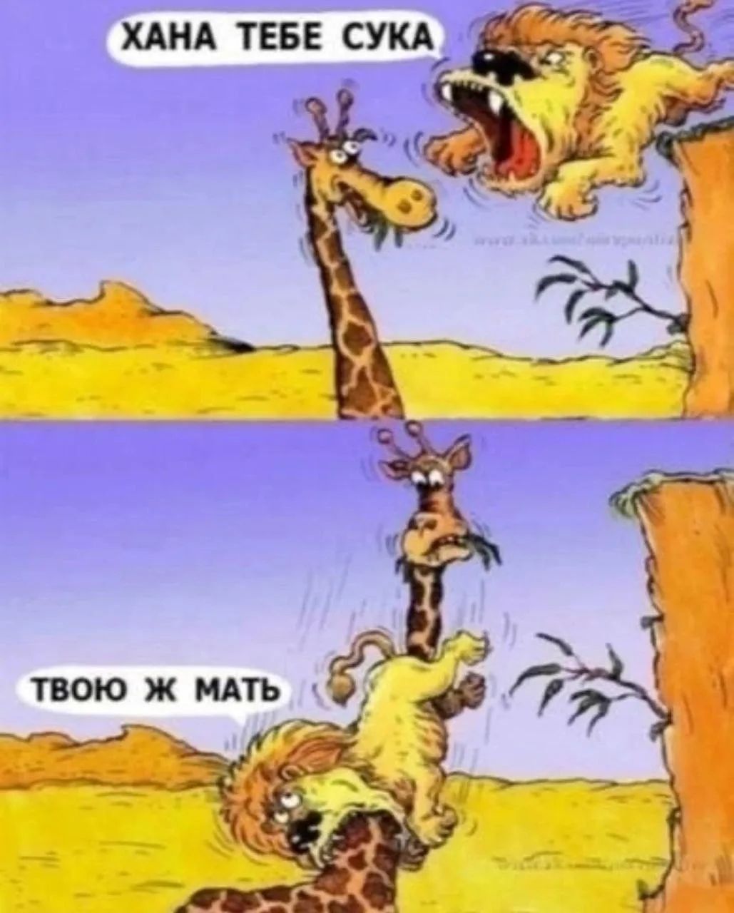 ХАНА ТЕБЕ СУКА ТВОЮ Ж МАТЬ