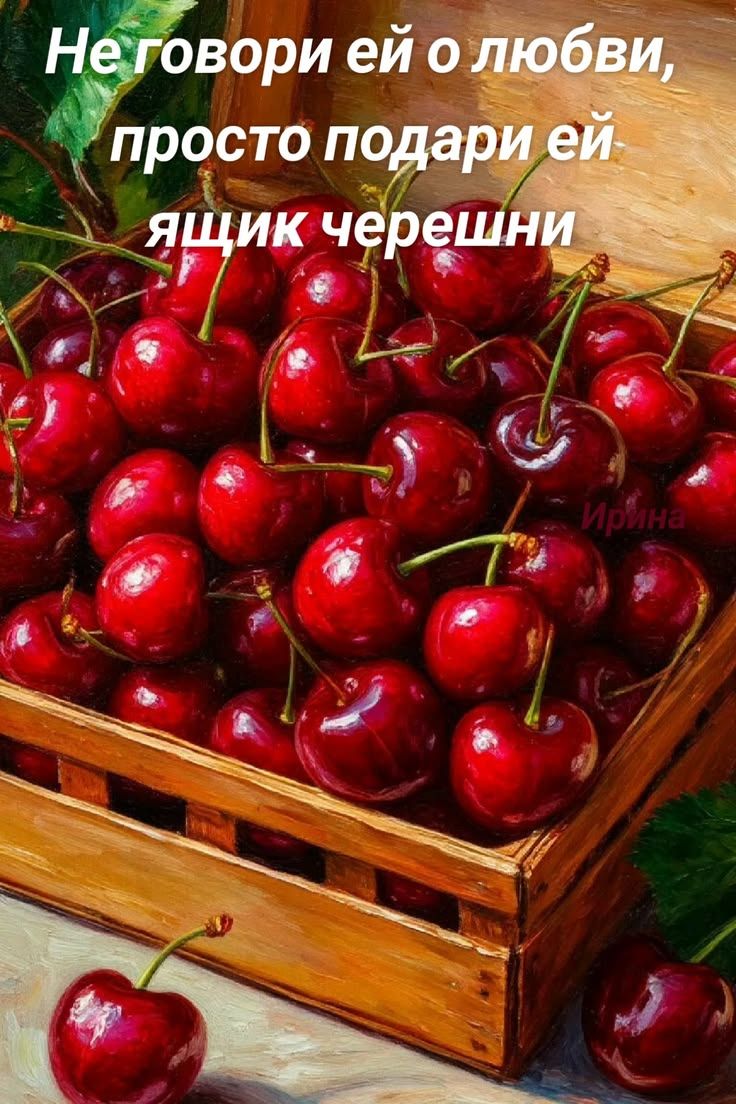 Не говори ей о любви, просто подари ей ящик черешни Ирина