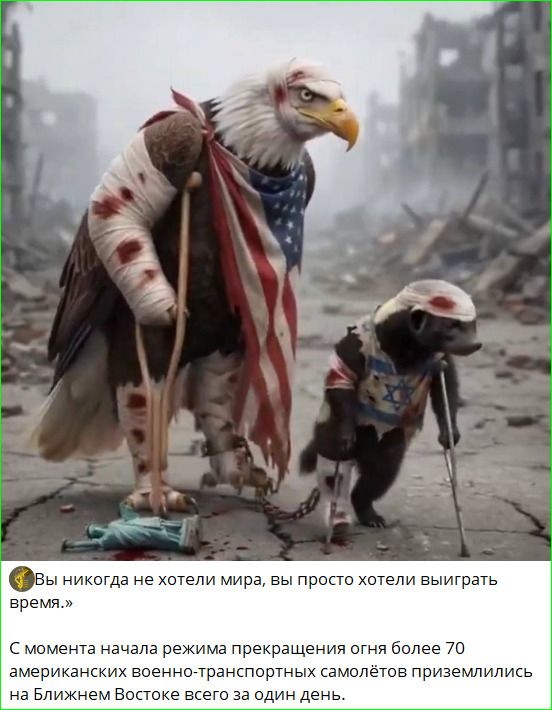 Вы никогда не хотели мира, вы просто хотели выиграть время. С момента начала режима прекращения огня более 70 американских военно-транспортных самолётов приземлились на Ближнем Востоке всего за один день.