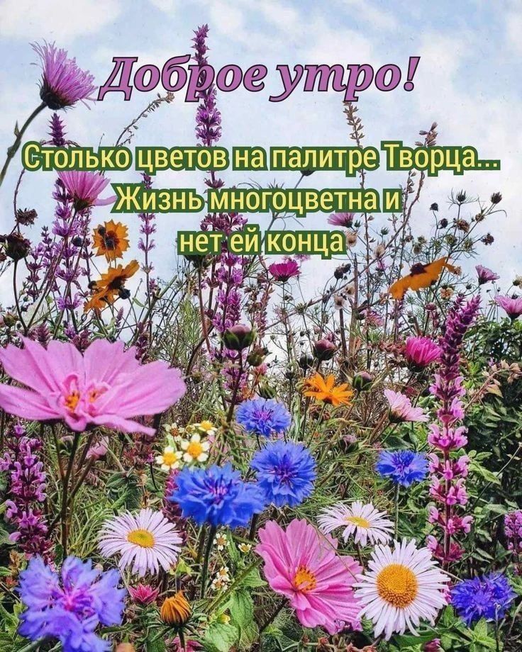 Доброе утро! Столько цветов на палитре Творца... Жизнь многоцветна и нет ей конца