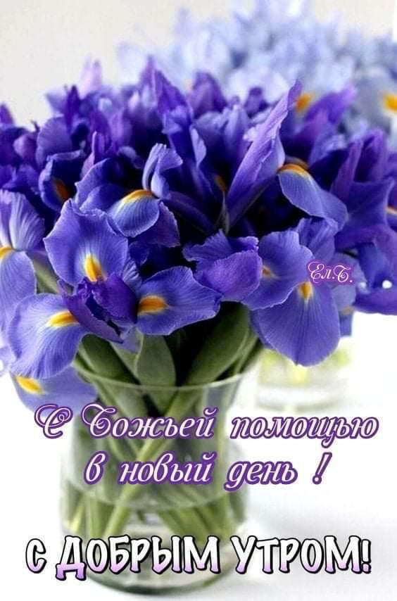 С Божьей помощью в новый день! С ДОБРЫМ УТРОМ!