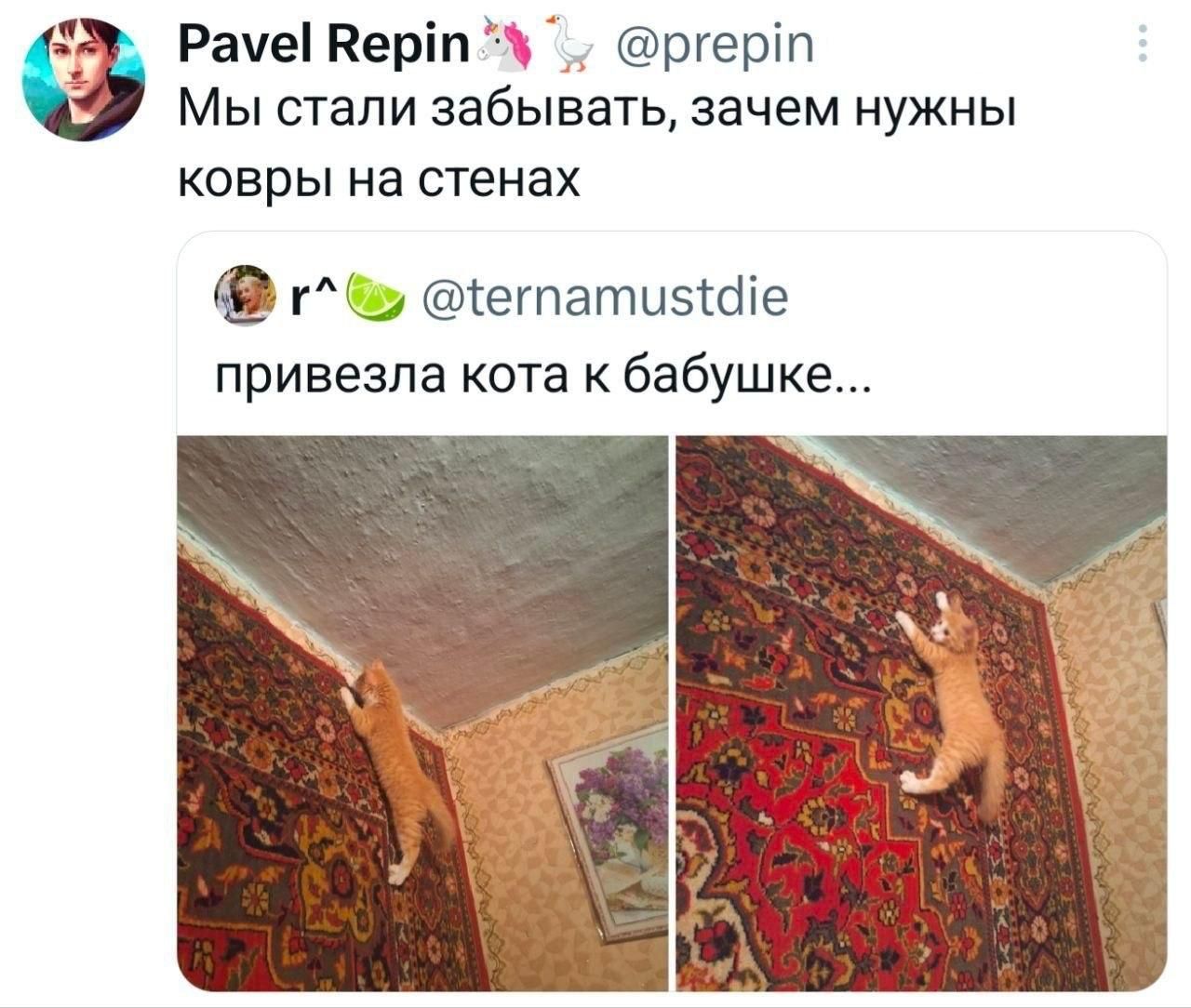Pavel Repin @prepin Мы стали забывать, зачем нужны ковры на стенах r^ @ternamustdie привезла кота к бабушке...