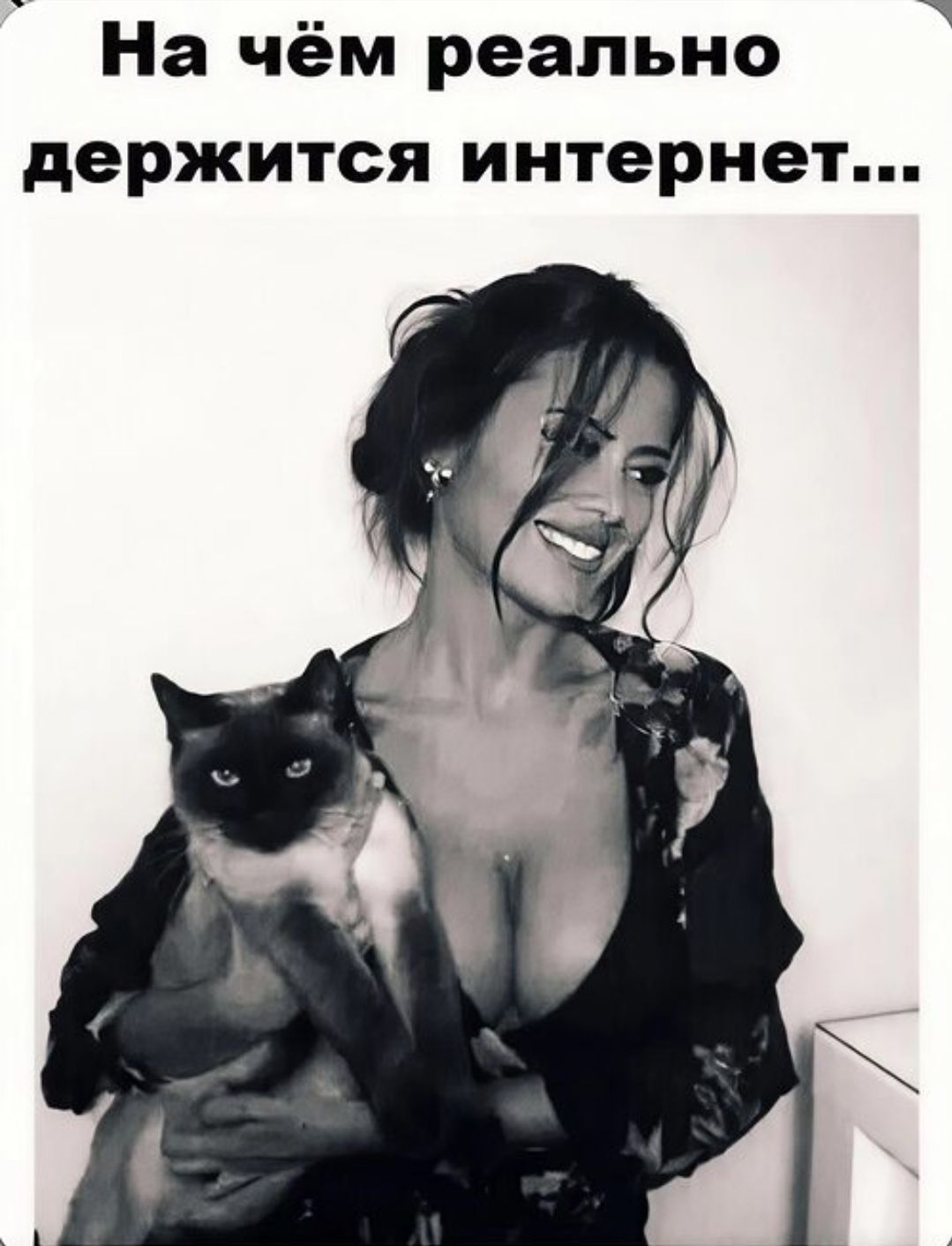 На чём реально держится интернет...