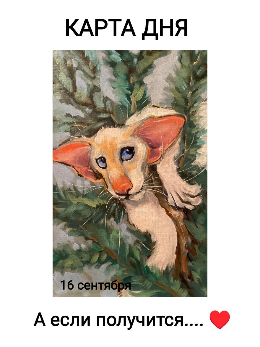 КАРТА ДНЯ 16 сентября А если получится....