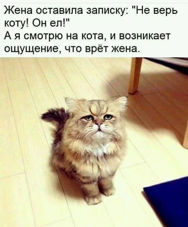 Жена оставила записку: 