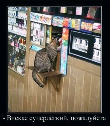 - Вискас суперлёгкий, пожалуйста