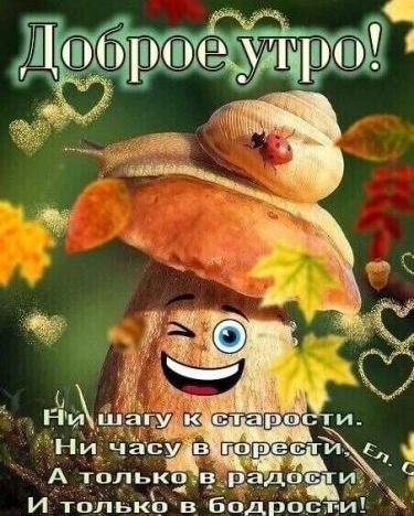 Доброе утро! Ни шагу к старости. Ни часу в горести. А только в радости И только в бодрости!