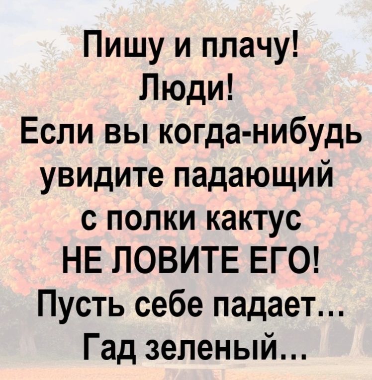 Пишу и плачу! Люди! Если вы когда-нибудь увидите падающий с полки кактус НЕ ЛОВИТЕ ЕГО! Пусть себе падает... Гад зеленый...