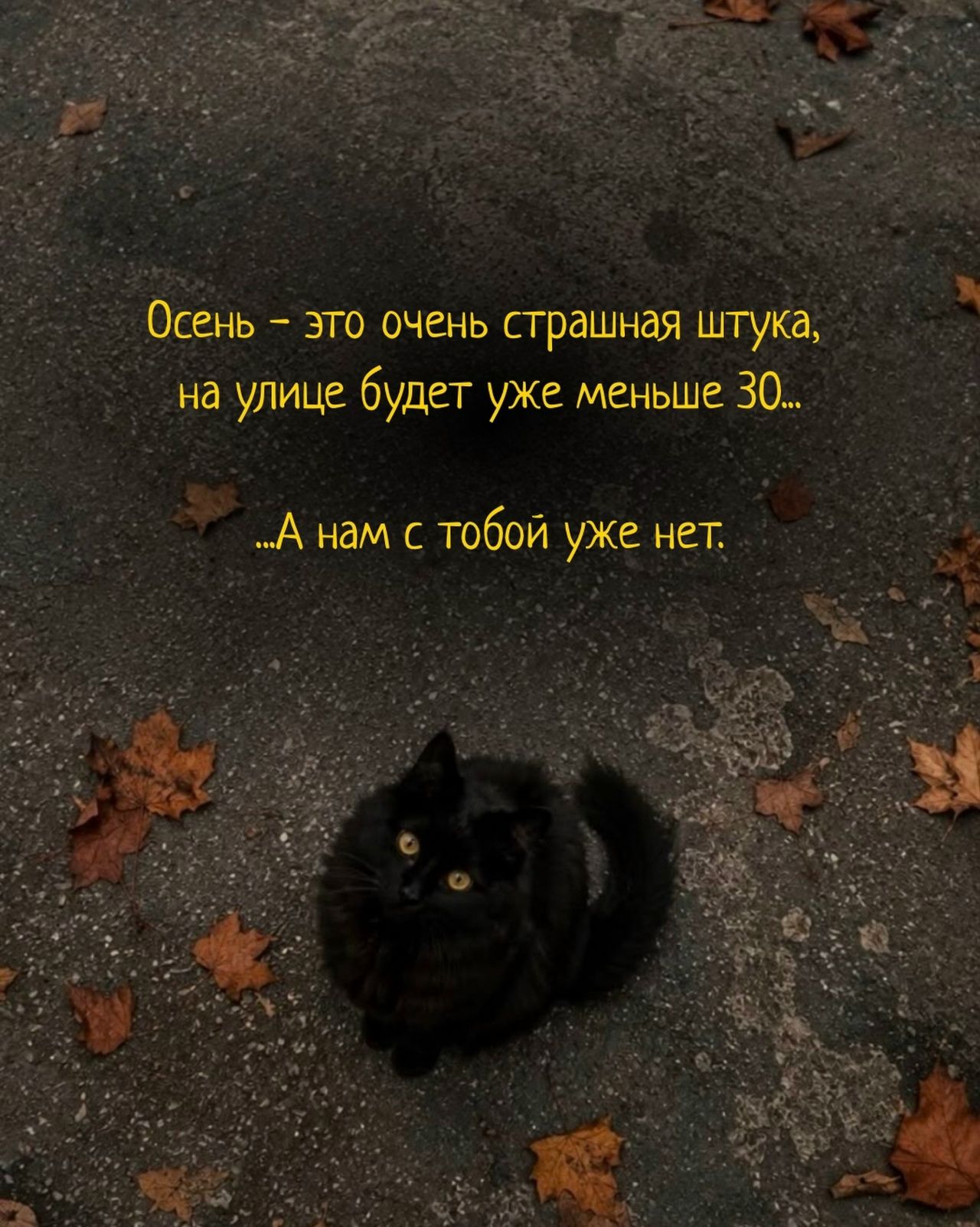Осень – это очень страшная штука, на улице будет уже меньше 30... ...А нам с тобой уже нет.
