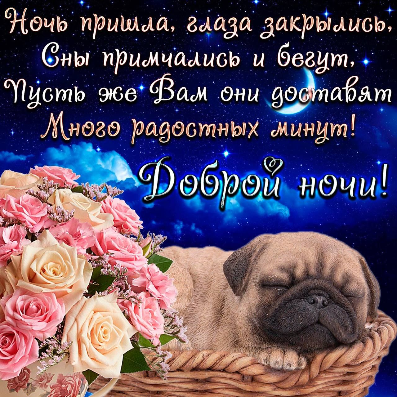 Ночь пришла, глаза закрылись, Сны примчались и бегут, Пусть же Вам они доставят Много радостных минут! Доброй ночи!