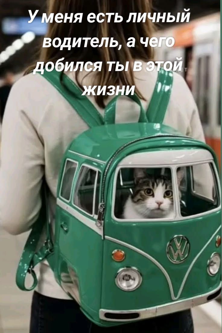 У меня есть личный водитель, а чего добился ты в этой жизни