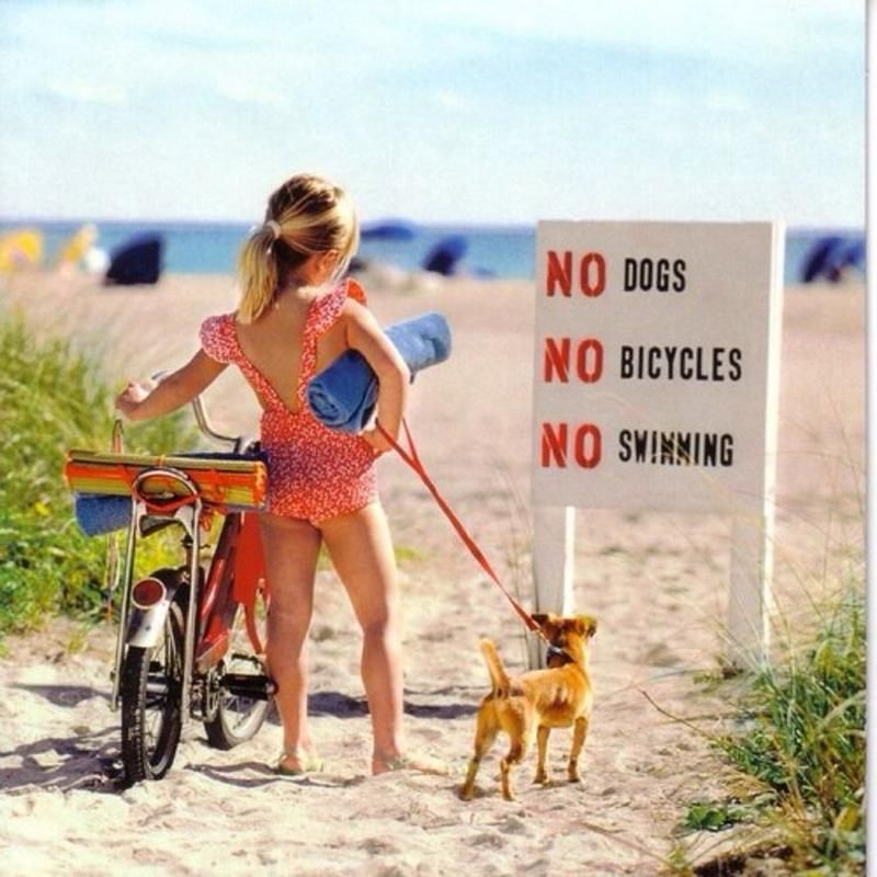 NO DOGS NO BICYCLES NO SWIMMING