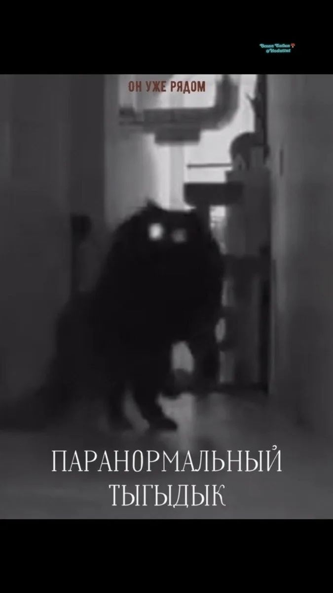 ОН УЖЕ РЯДОМ ПАРАНОРМАЛЬНЫЙ ТЫГЫДЫК