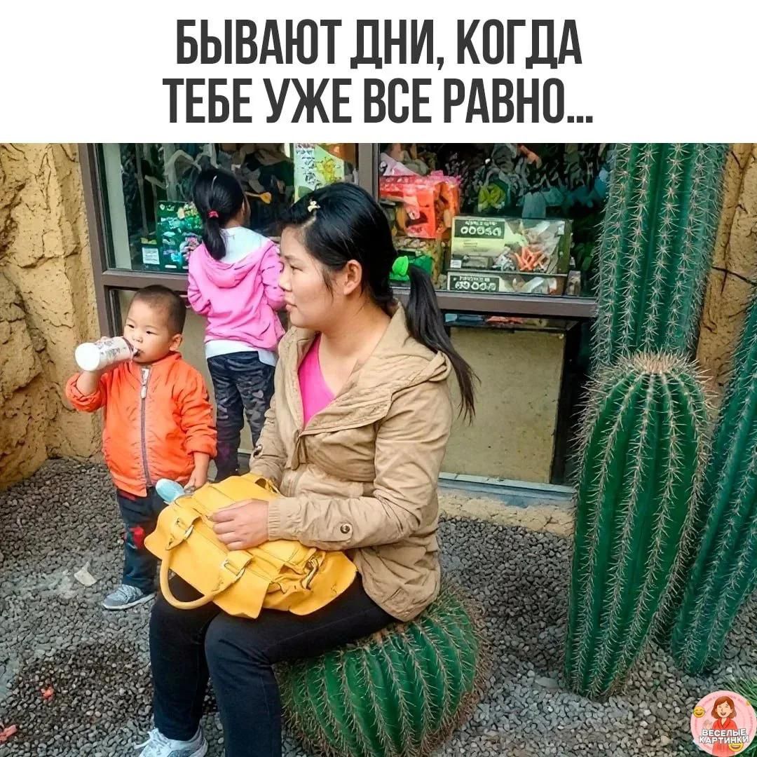 Бывают дни, когда тебе уже все равно...