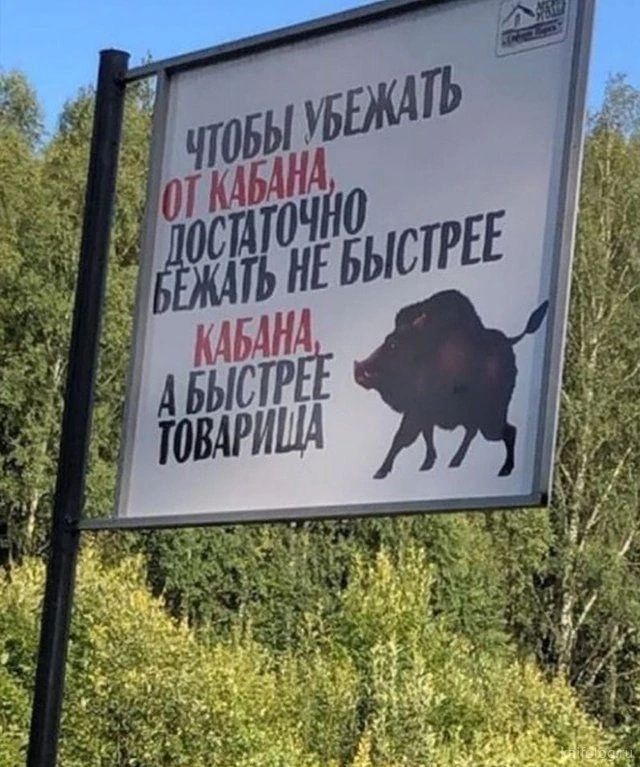 ЧТОБЫ УБЕЖАТЬ ОТ КАБАНА, ДОСТАТОЧНО БЕЖАТЬ НЕ БЫСТРЕЕ КАБАНА, А БЫСТРЕЕ ТОВАРИЩА