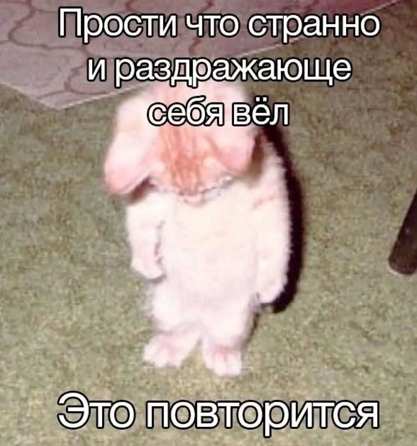 Прости что странно и раздражающе себя вёл. Это повторится