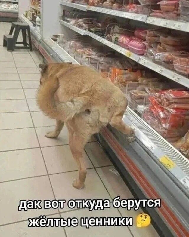 дак вот откуда берутся жёлтые ценники 🤔