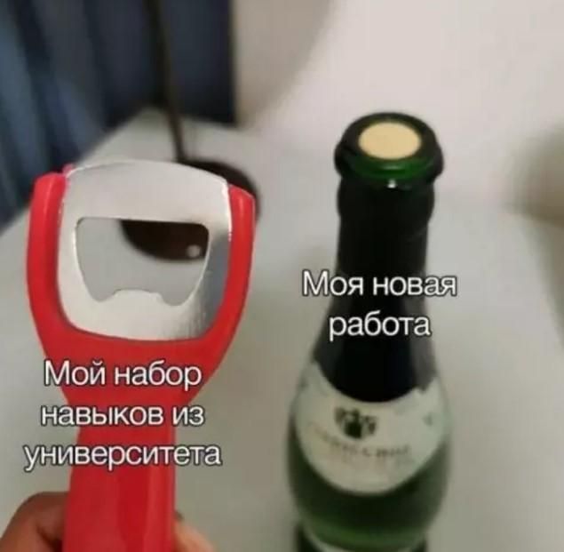 Мой набор навыков из университета Моя новая работа