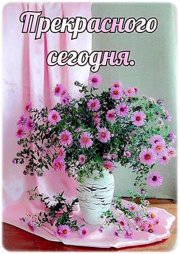 Прекрасного сегодня.