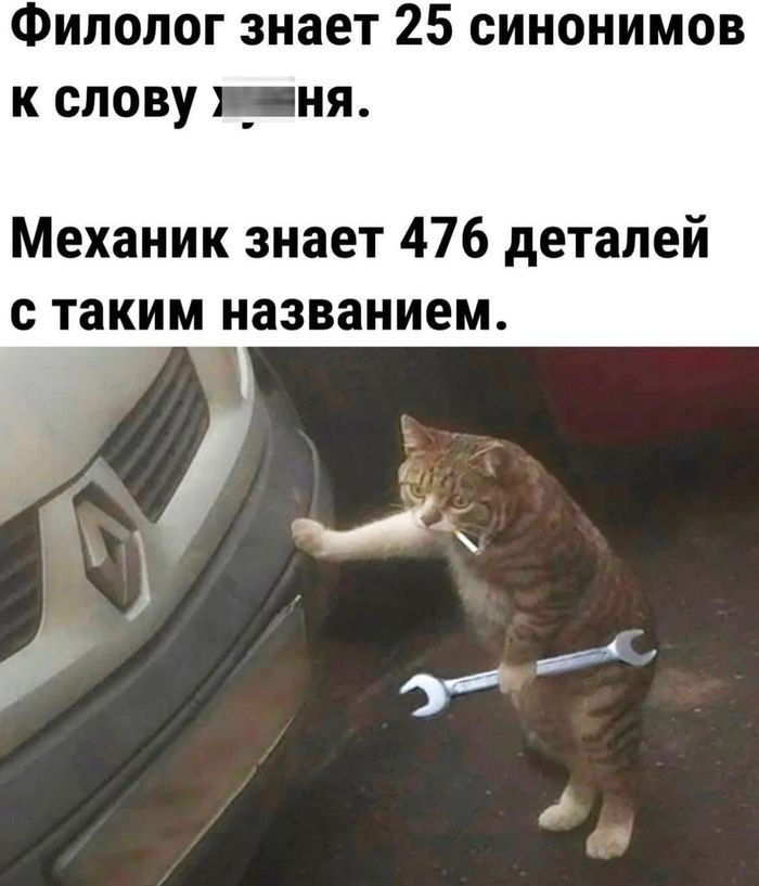 Филолог знает 25 синонимов к слову хххня. Механик знает 476 деталей с таким названием.