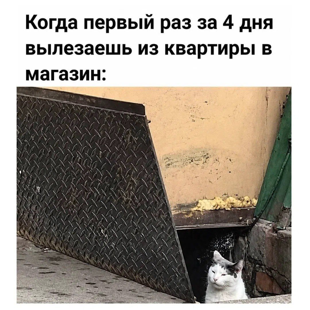 Когда первый раз за 4 дня вылезаешь из квартиры в магазин: