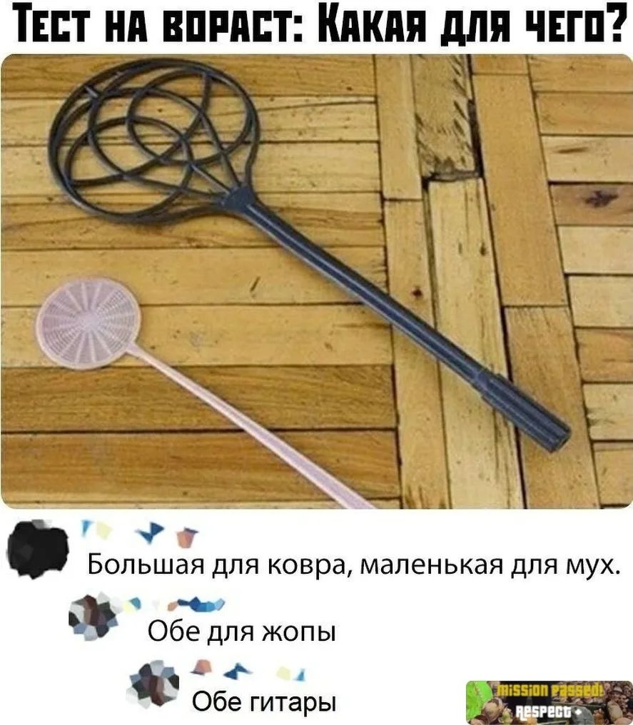 ТЕСТ НА ВОЗРАСТ: Какая для чего? Большая для ковра, маленькая для мух. Обе для жопы Обе гитары