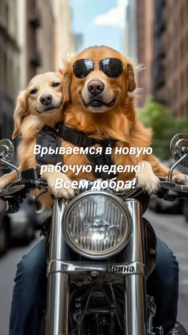 Врываемся в новую рабочую неделю! Всем добра!