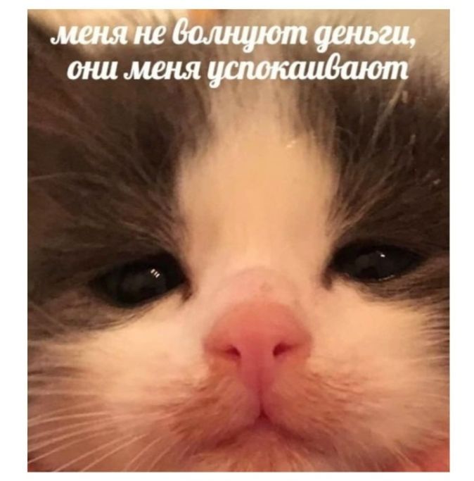 меня не волнуют деньги, они меня успокаивают
