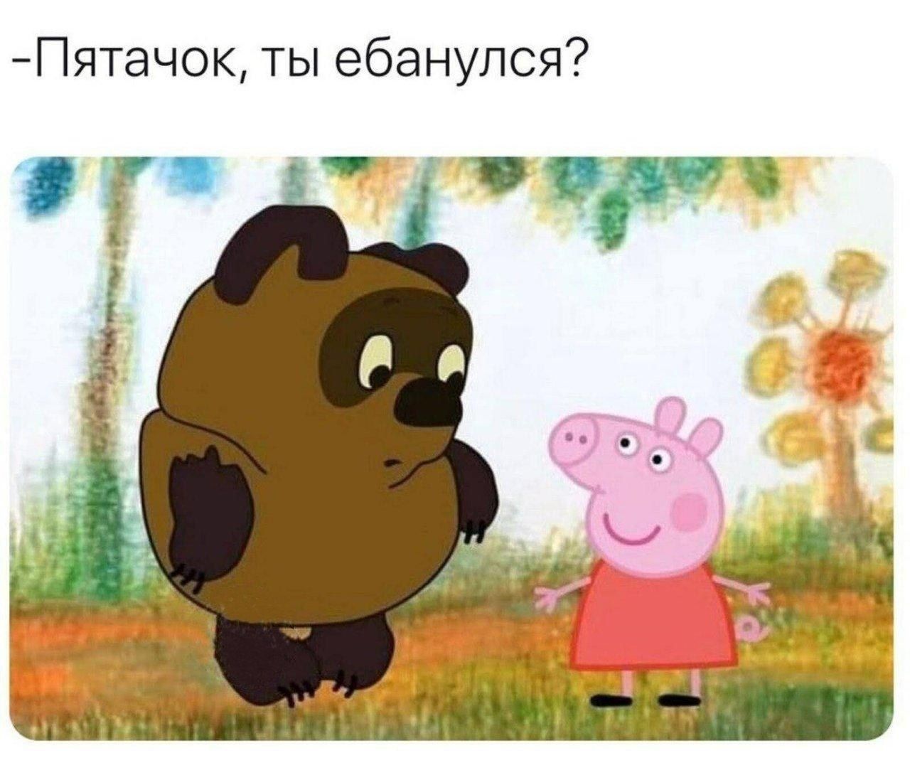 Пятачок, ты ебанулся?