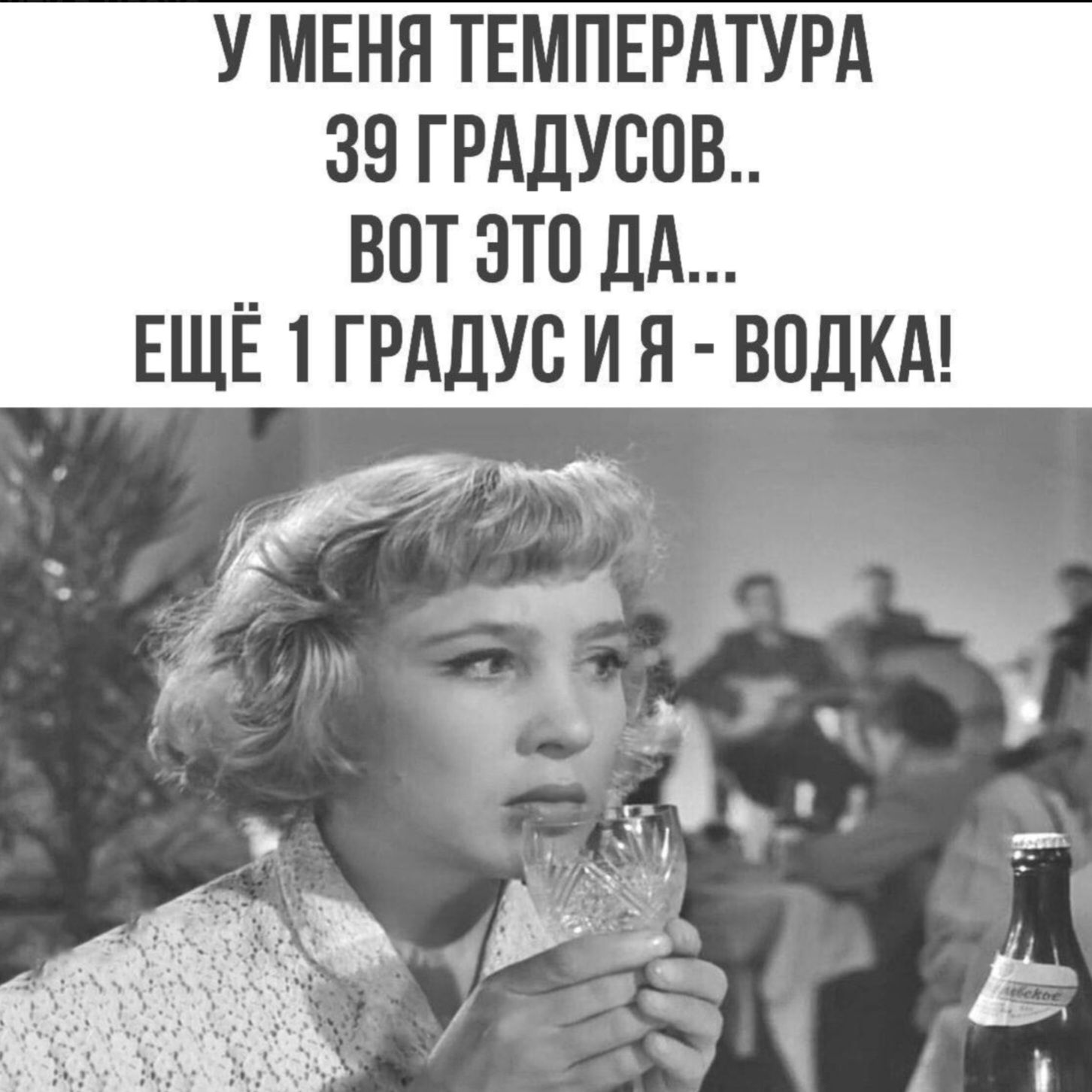 У МЕНЯ ТЕМПЕРАТУРА 39 ГРАДУСОВ.. ВОТ ЭТО ДА... ЕЩЁ 1 ГРАДУС И Я - ВОДКА!
