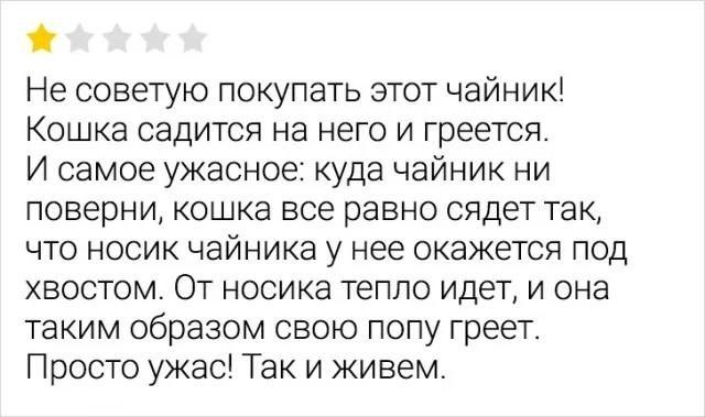 Не советую покупать этот чайник! Кошка садится на него и греется. И самое ужасное: куда чайник ни поверни, кошка все равно сядет так, что носик чайника у нее окажется под хвостом. От носика тепло идет, и она таким образом свою попу греет. Просто ужас! Так и живем.
