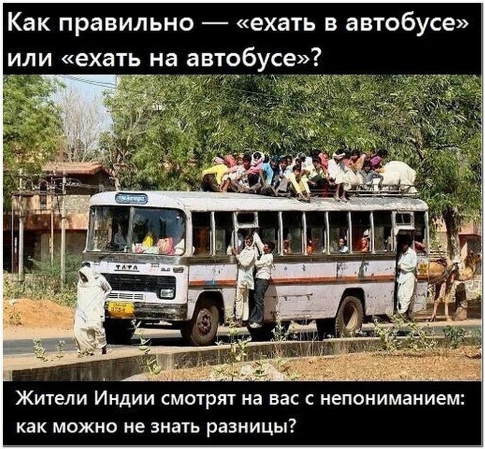 Как правильно — «ехать в автобусе» или «ехать на автобусе»? Жители Индии смотрят на вас с непониманием: как можно не знать разницы?